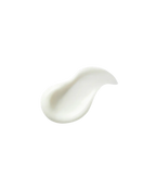 Bloqueador Eco Earth Light Sun Cream – The Saem