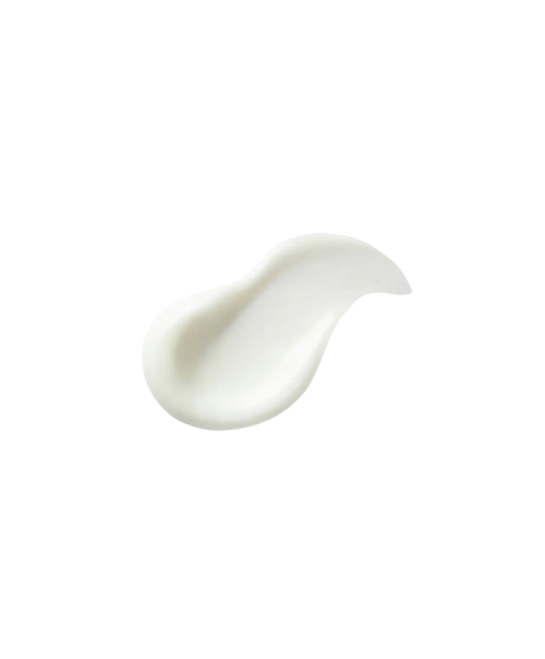 Bloqueador Eco Earth Light Sun Cream – The Saem