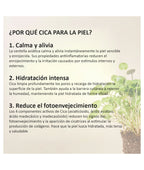 Mixsoon Soondy Centella Asiatica Essence 100ml
